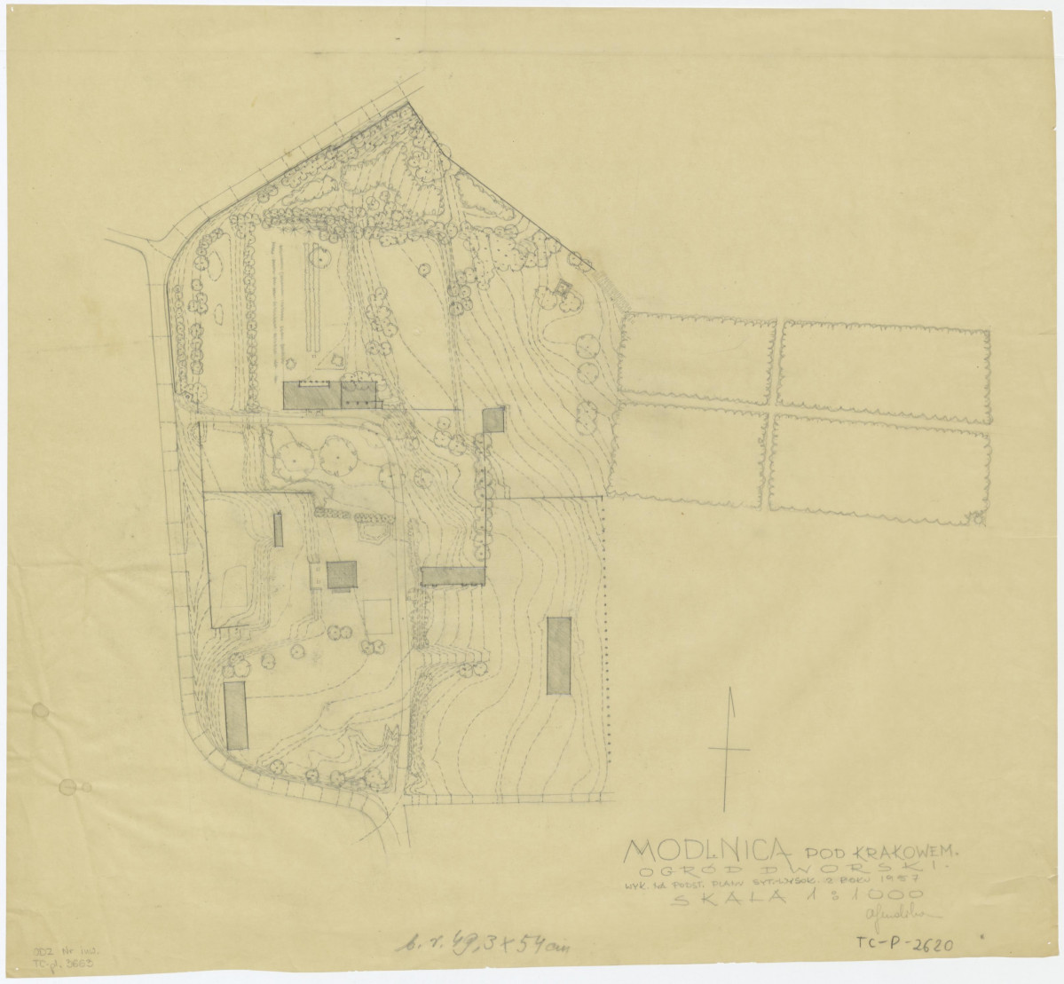plan sytuacyjno - wysokościowy, 1:1000, skan 1