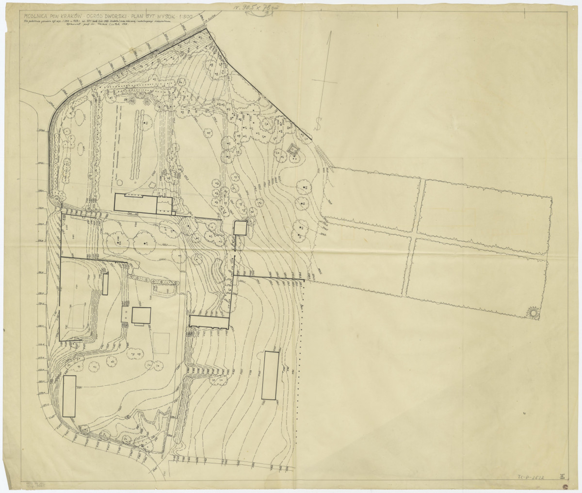 plan sytuacyjno - wysokościowy  - na podstawie pomiaru w 1958 roku oraz szkicowej inwentaryzacji drzewostanu , 1:500 , skan 1