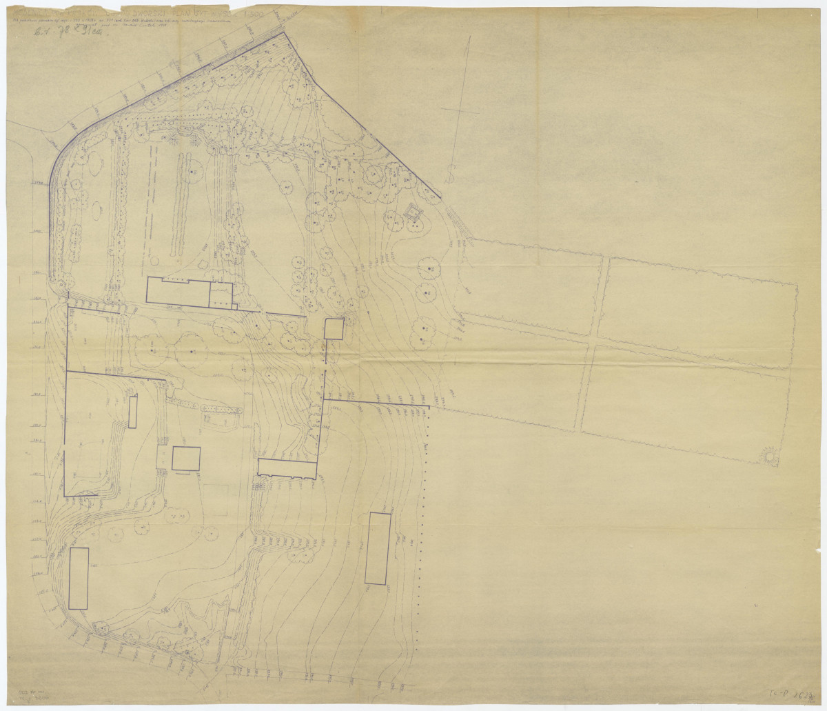 plan sytuacyjno - wysokościowy  - na podstawie pomiaru w 1958 roku oraz szkicowej inwentaryzacji drzewostanu , 1:500 , skan 1
