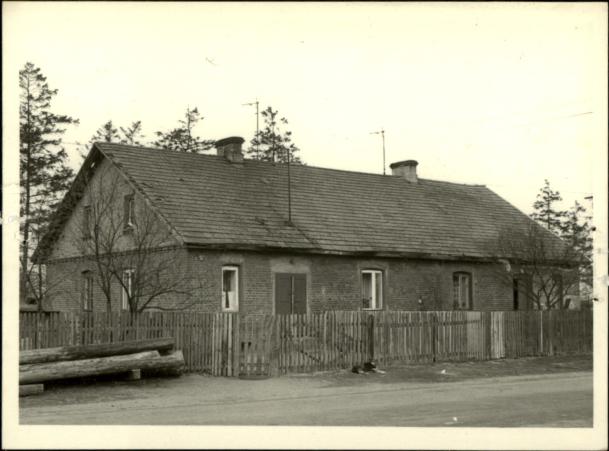 czworak, skan 3