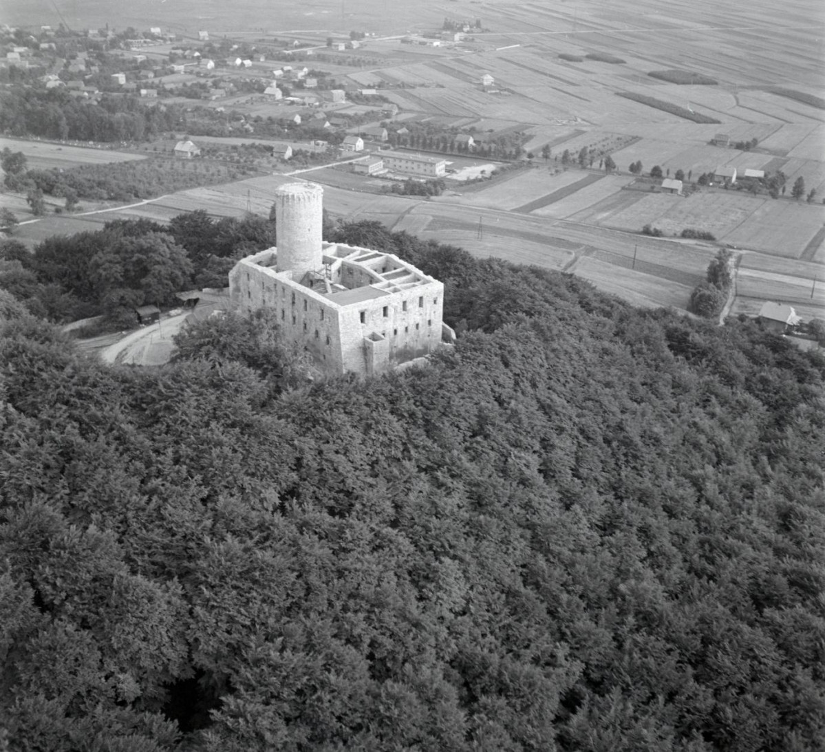 Widok ogólny ruin zamku od strony północno -zachodniej, skan 1