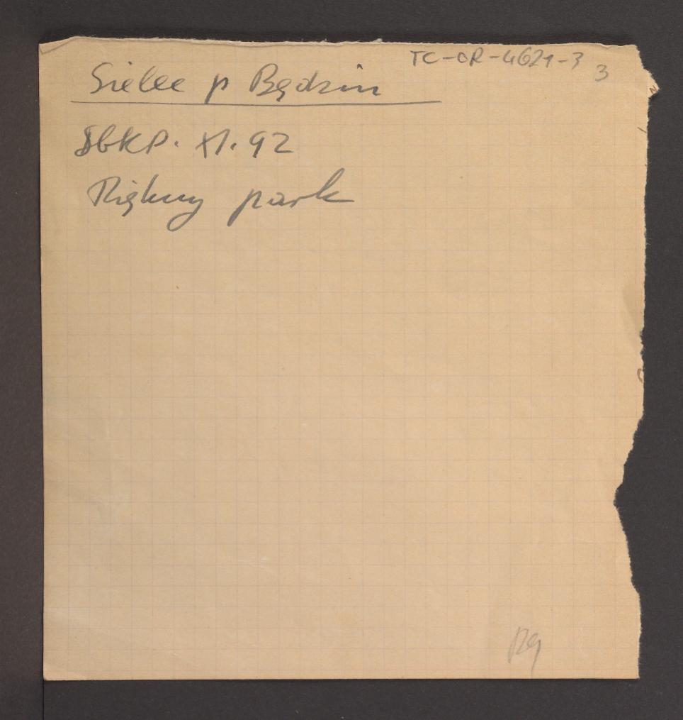 odsyłacz do Słownik Geograficzny Królestwa Polskiego t. XI, s. 92 wzmiankujący miejscowy park , skan 1