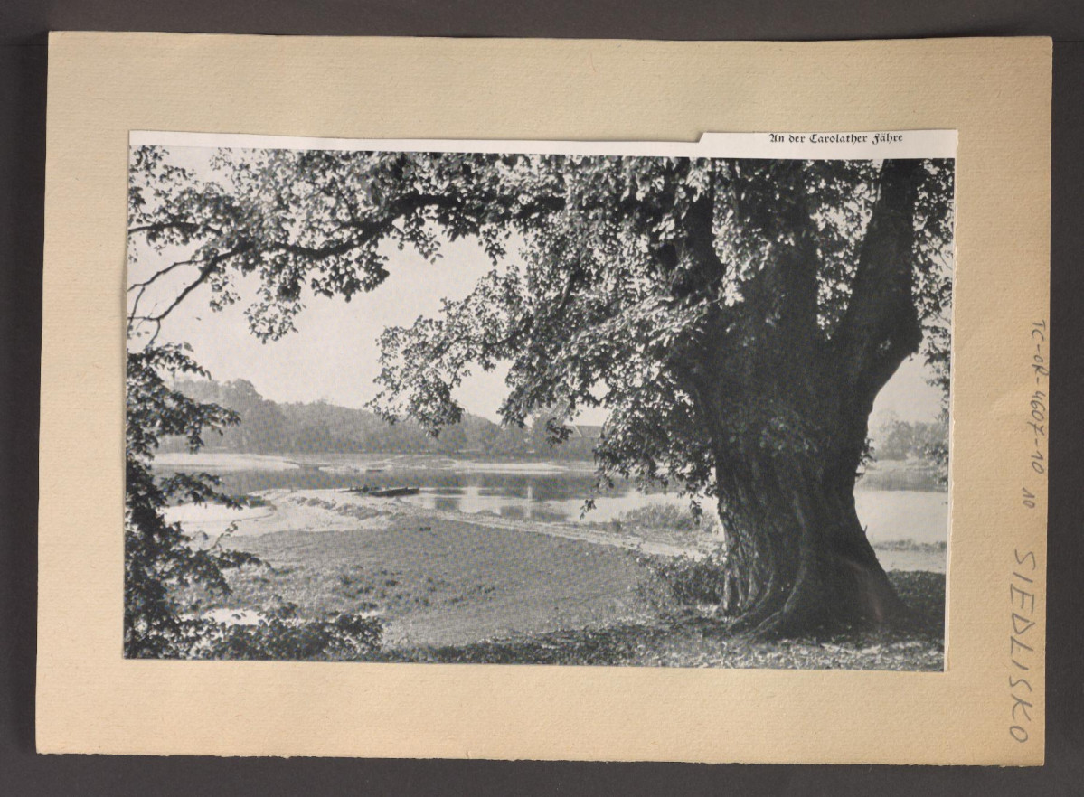 wycinek z publikacji tematycznej zawierający reprodukcje fotograficzną przedstawiającą fragment miejscowego parku oraz na Odrę, skan 1