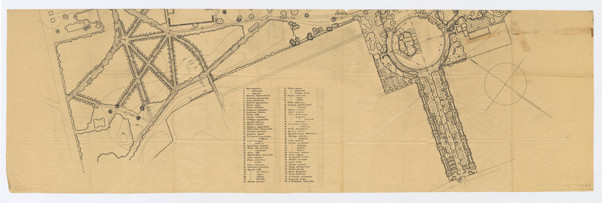 plan sytuacyjno-wysokościowy i inwentaryzacja drzewostanu fragment założenia. Napisy objaśniające i wymiary, skan 1