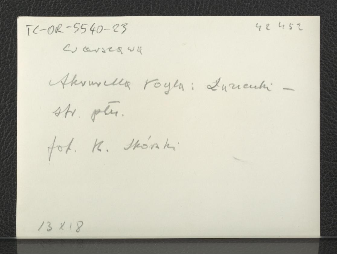 fotografia czarno-biała reprodukcji akwarelii autorstwa Zygmunta Vogla ukazaującej północną część Łazienek , skan 2