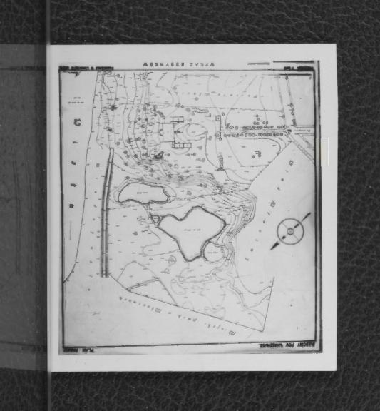 2 fotografie czarno-białe przedstawiające  plan parku na Młocinach (1 : 500)                 , skan 1