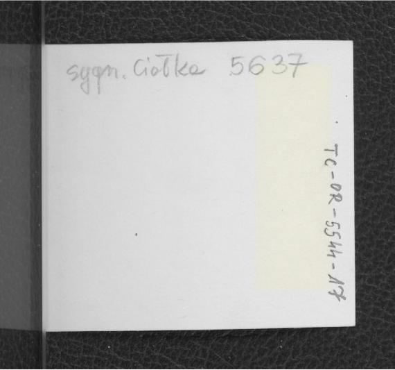 2 fotografie czarno-białe przedstawiające  plan parku na Młocinach (1 : 500)                 , skan 2