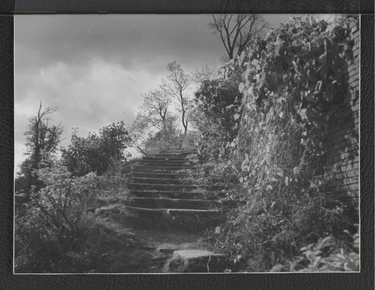 fotografia czarno-biała przedstawiająca fragment schodów portykowych oraz tamtejszej roślinności, skan 1
