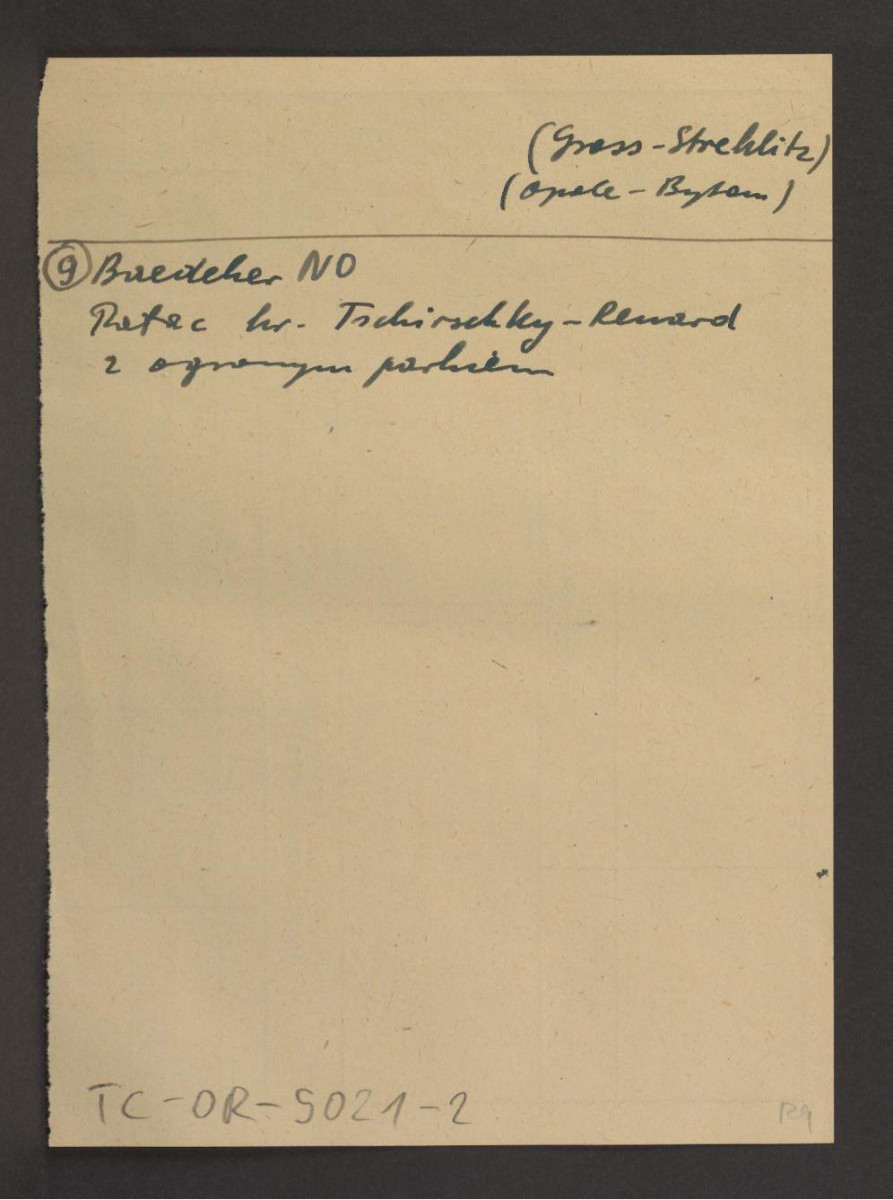 odsyłacz do Baedeker, Nordos – Deutschland, Baedeker 1896 wzmiankujący pałac hr. Tschirschky-Renard oraz pobliski park, skan 1