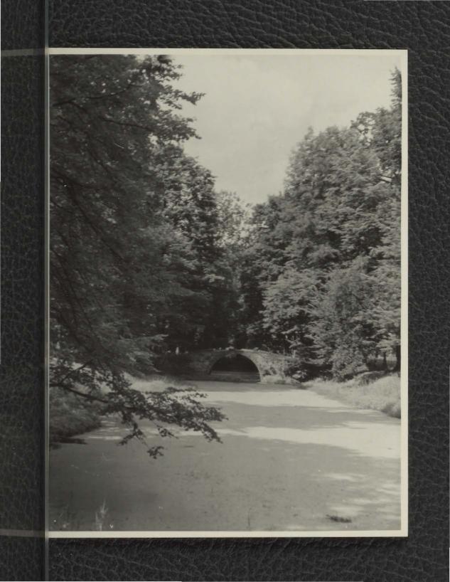 fotografia czarno-biała przedstawiająca mostek w miejscowym parku oraz kanał (?), skan 1