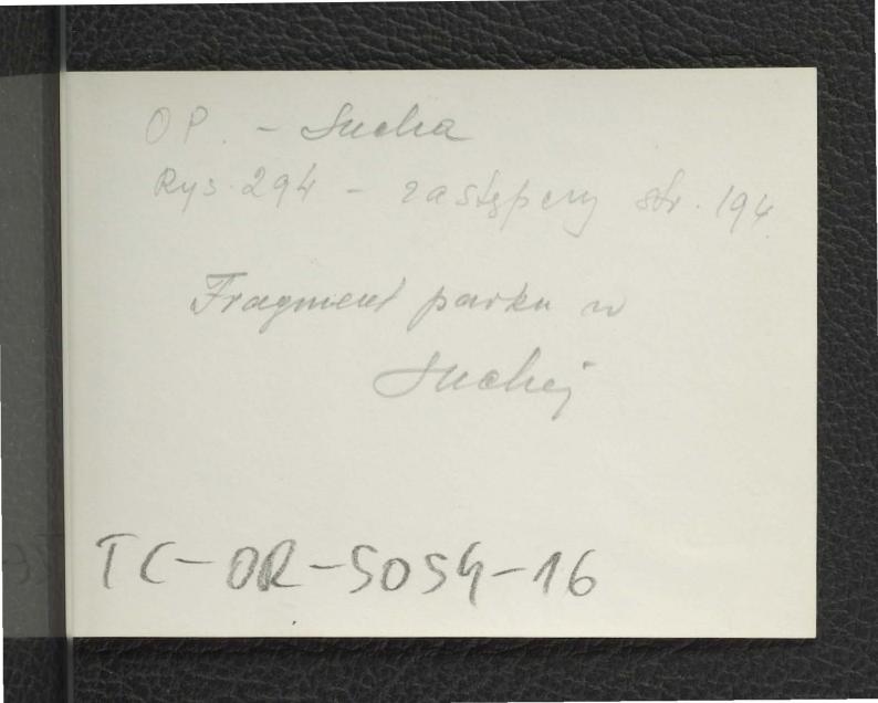 fotografia czarno-biała przedstawiająca mostek w miejscowym parku oraz kanał (?), skan 2