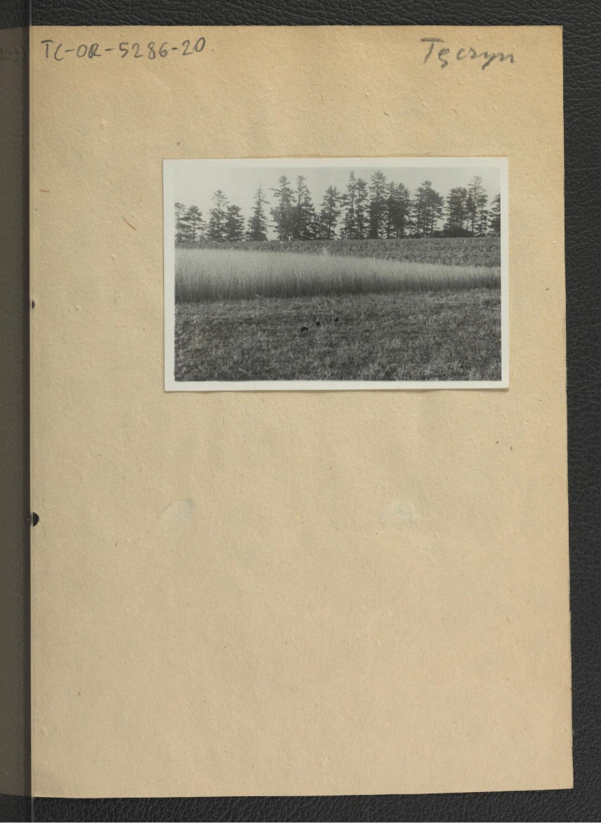 fotografia czarno-biała przedstawiająca fragment gruntu uprawnego, prawdopodobnie wchodzącego niegdyś w skład miejscowego folwarku                                                    , skan 1