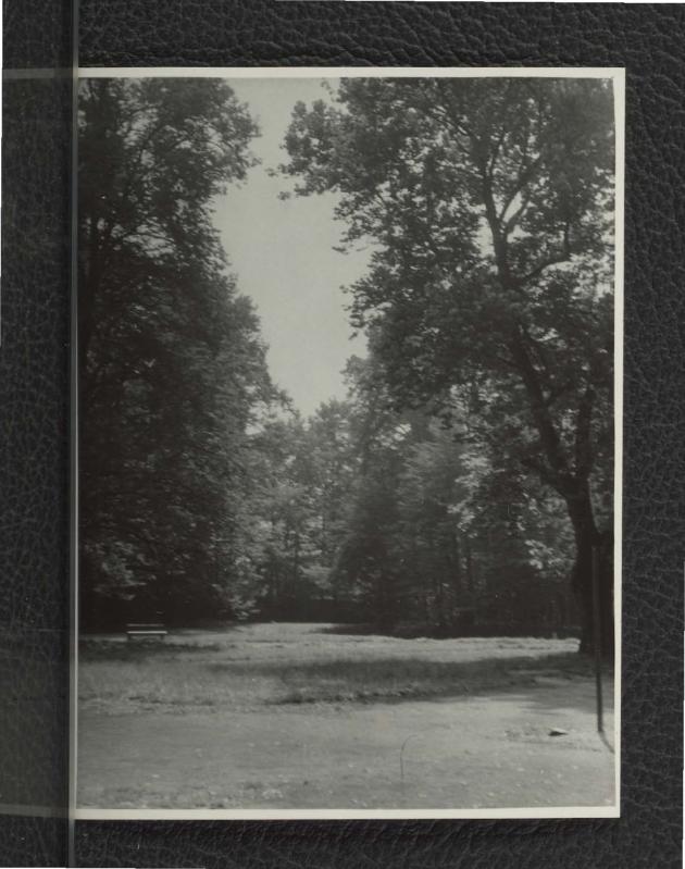 fotografia czarno-biała przedstawiająca fragment miejscowego parku, skan 1