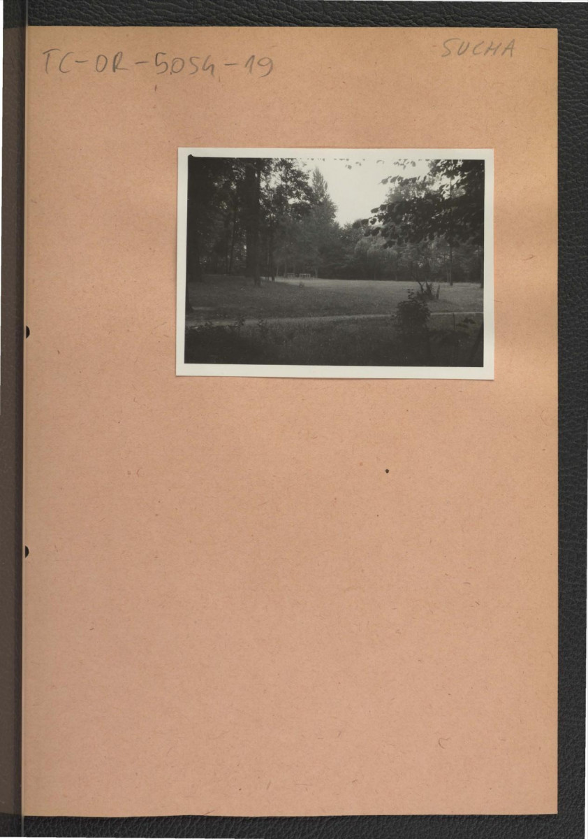 fotografia czarno-biała przedstawiająca fragment miejscowego parku, skan 1