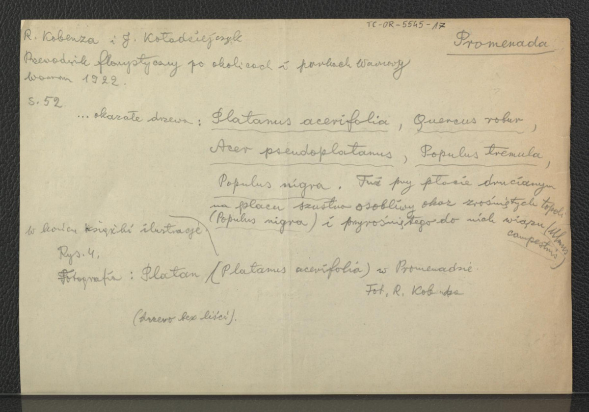 wypis z Kobenza R., Kołodziejczyk J., Przewodnik florystyczny po okolicach i parkach Warszawy, Warszawa 1922, s. 52 wzmiankujący część miejscowego drzewostanu , skan 1