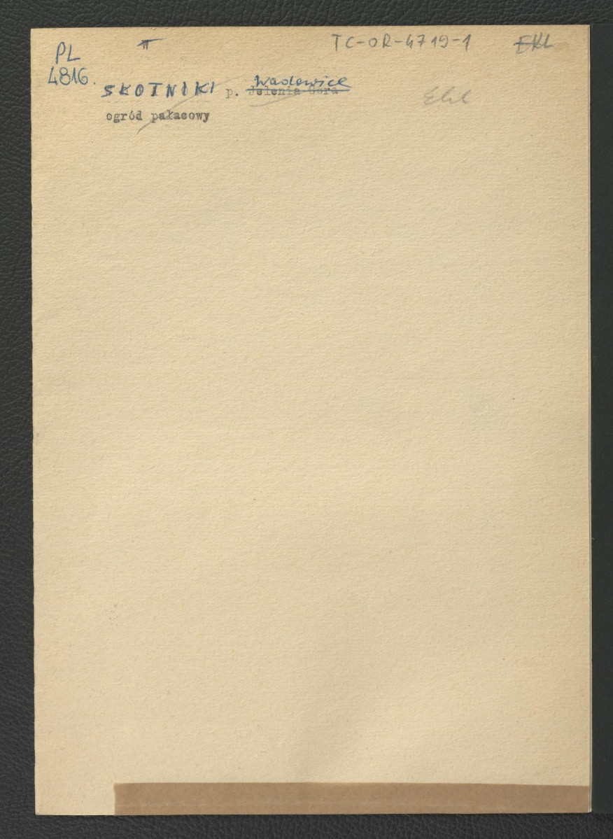 brak zawartości, skan 1