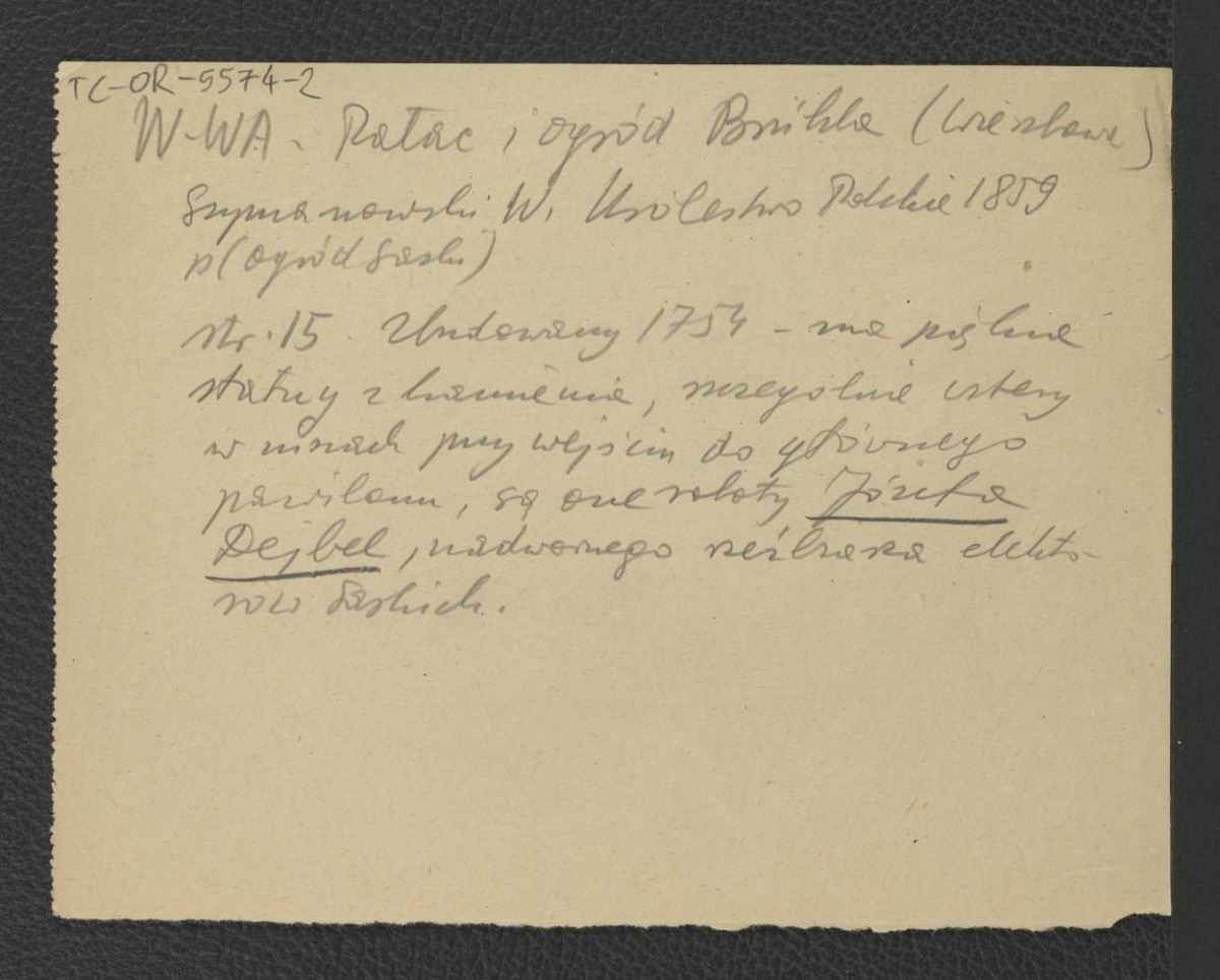 wypis z Szymanowski W., Królestwo Polskie…, Warszawa 1859, s. 15 wzmiankujący wzniesienie pałacu w 1754 r. oraz rzeźby figuratywne i ornamenty autorstwa Józefa Dejbla , skan 1