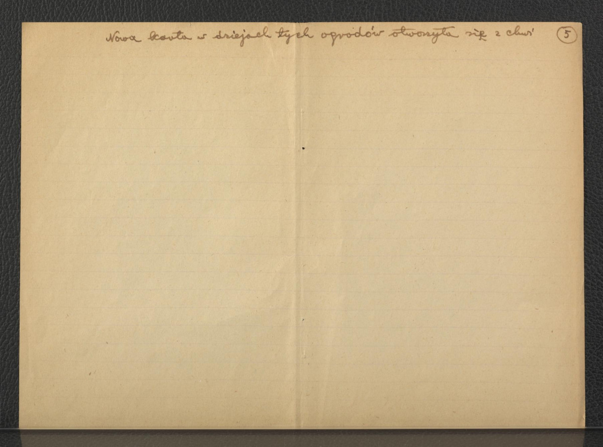 tekst, prawdopodobnie autorstwa G. Ciołka, dotyczący początków ogrodu w Łazienkach; piętnaście kart , skan 6