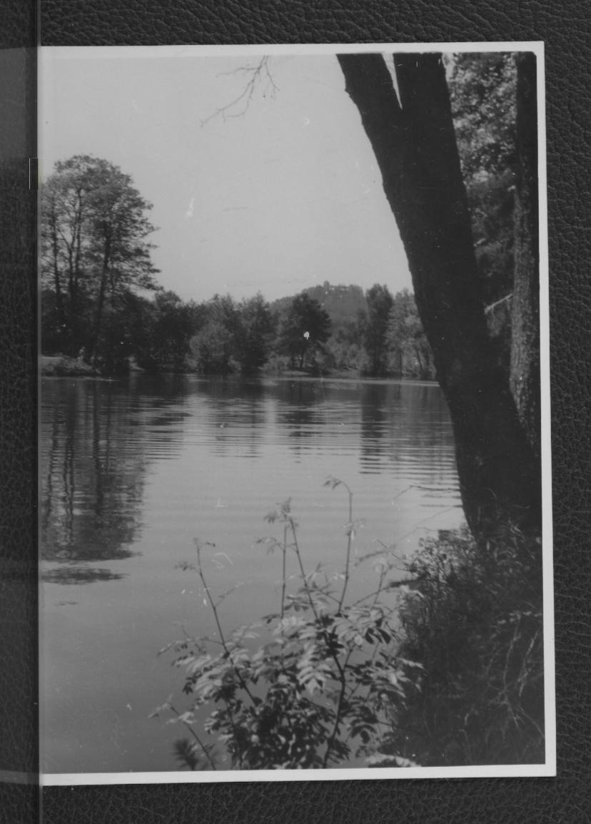 fotografia czarno-biała przedstawiająca fragment pobliskiego zbiornika wodnego (być może stawu), skan 1