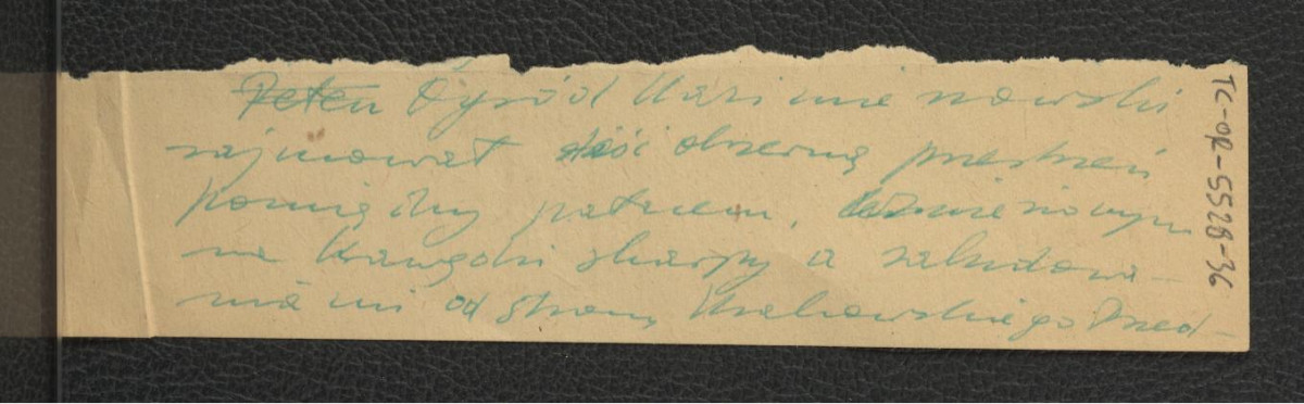 fragment notatki dotyczący wystroju miejscowego ogrodu , skan 1