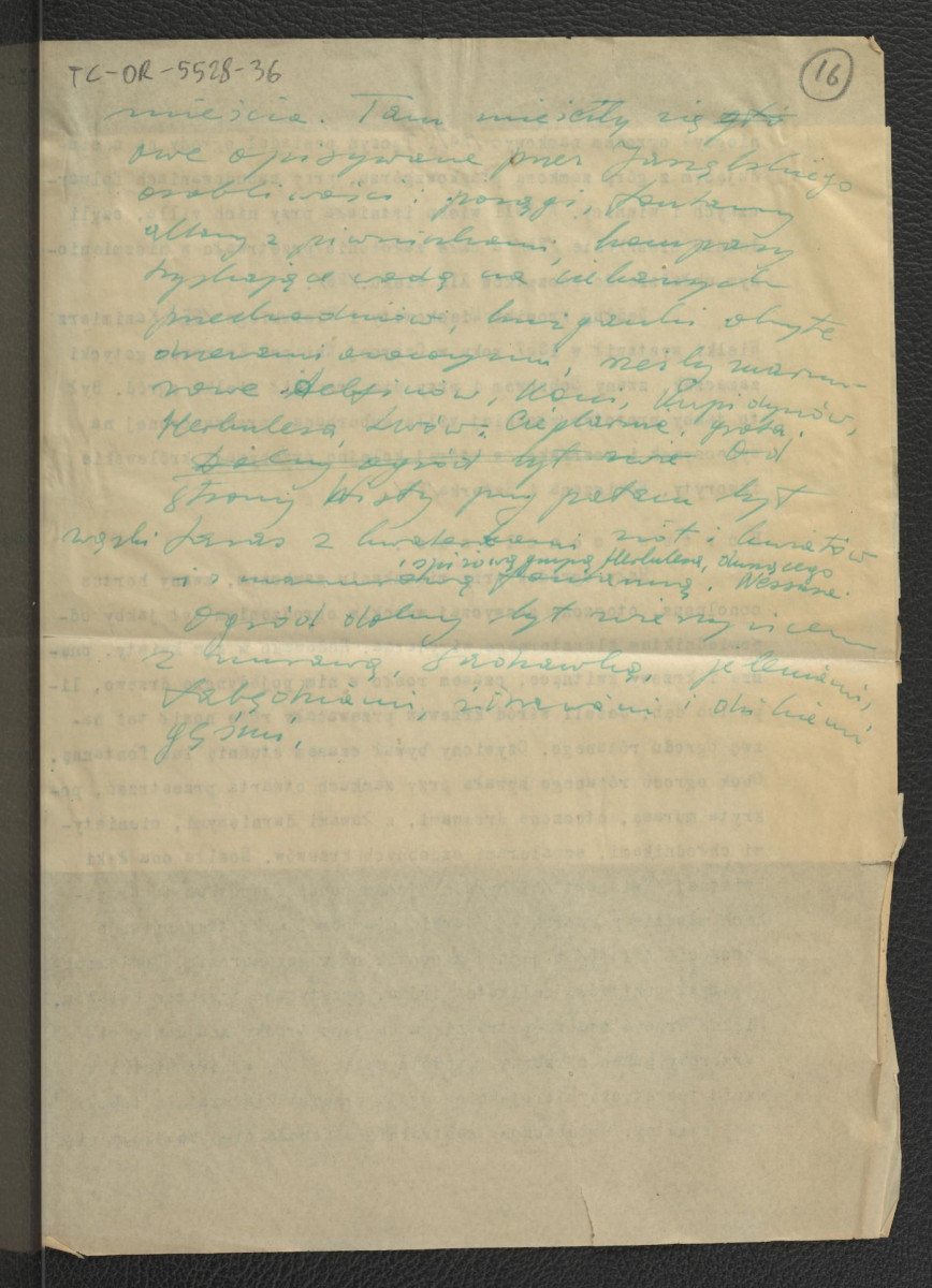 fragment notatki dotyczący wystroju miejscowego ogrodu , skan 2