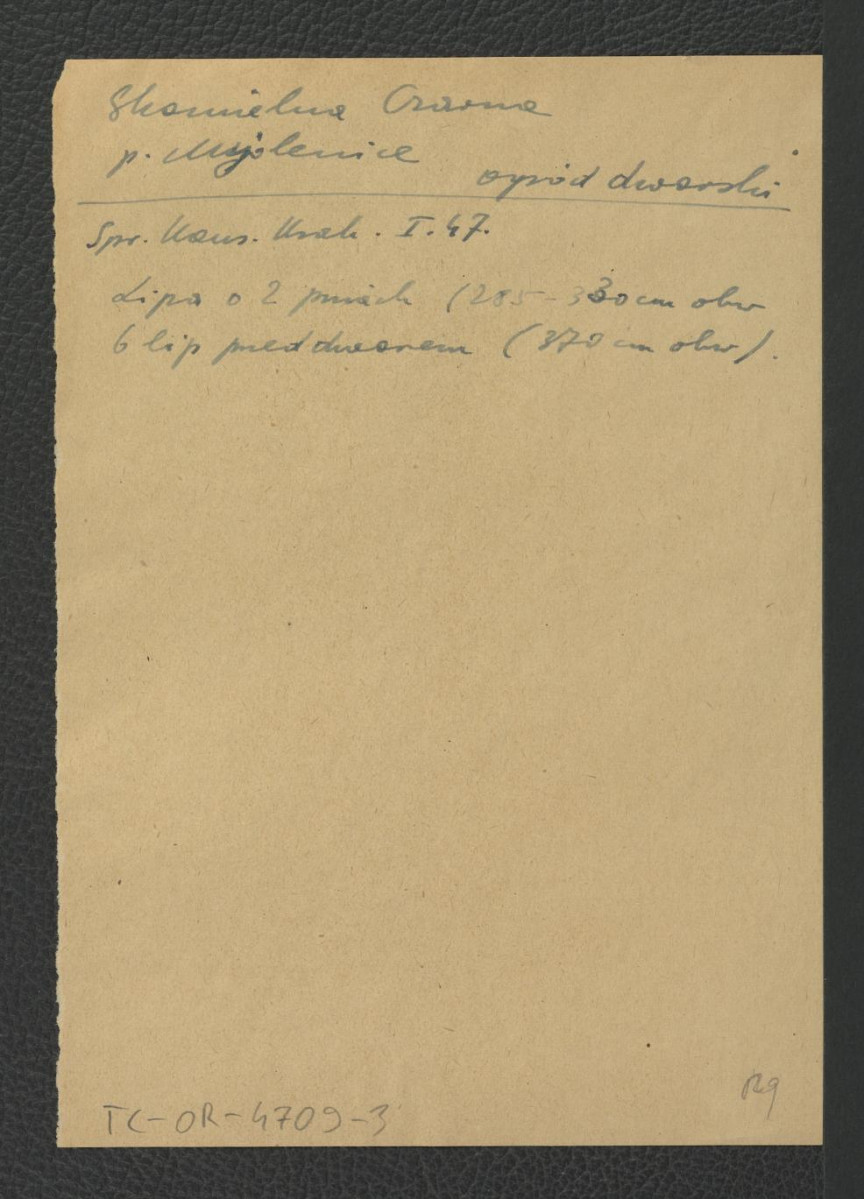 odsyłacz do Sprawozdania Wojewódzkiego Konserwatora Zabytków w Krakowie ze stycznia 1947 r. wzmiankujący miejscowe lipy                         , skan 1