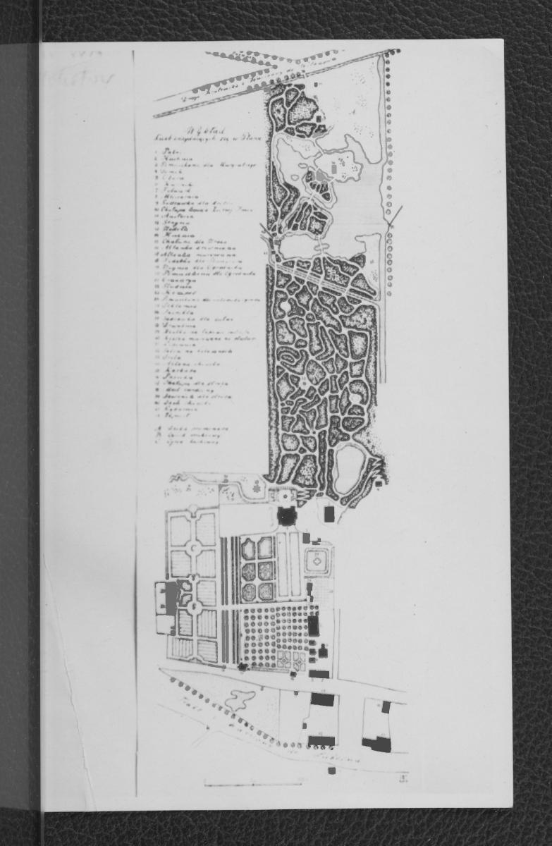 fotografia czarno-biała przedstawiająca plan ogrodu w Mokotowie z pocz. XIX w., skan 1