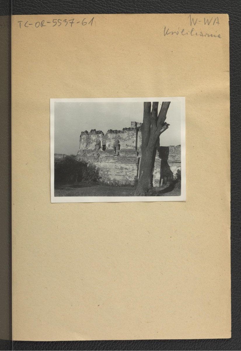 2 fotografie czarno-białe przedstawiające ściany zrujnowanego pałacu z fragmentami deokracji rzeźbiarskiej, skan 2