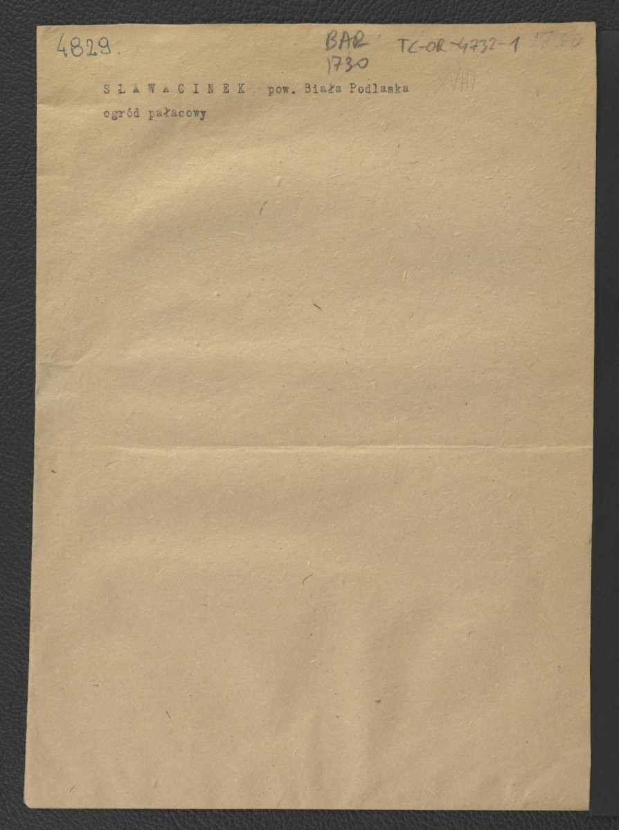 brak, skan 1