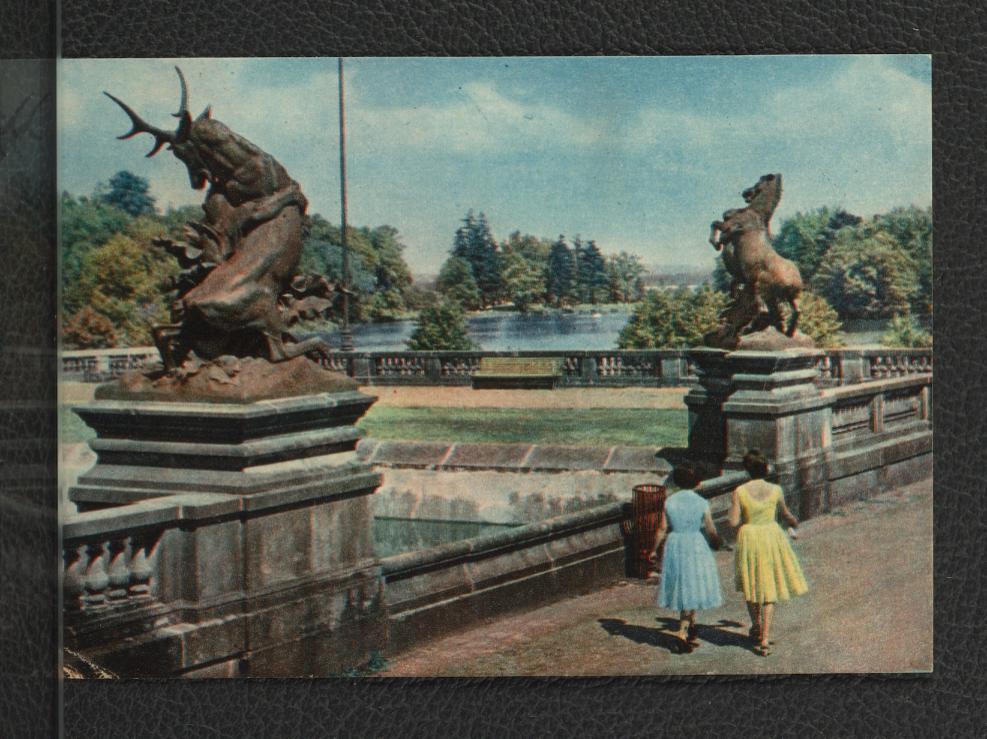 fotografia kolorowa w formie pocztówki przedstawiająca fragment miejscowego parku , skan 1