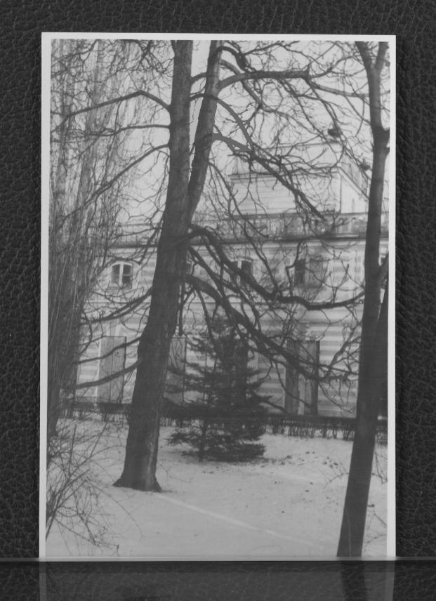 13 fotografii czarno-białych fotografii przedstawiających pomnik konny księcia Józefa Poniatowskiego, Pałac na Wodzie, Biały Domek, pomniki oraz okoliczne tereny (koperta), skan 10