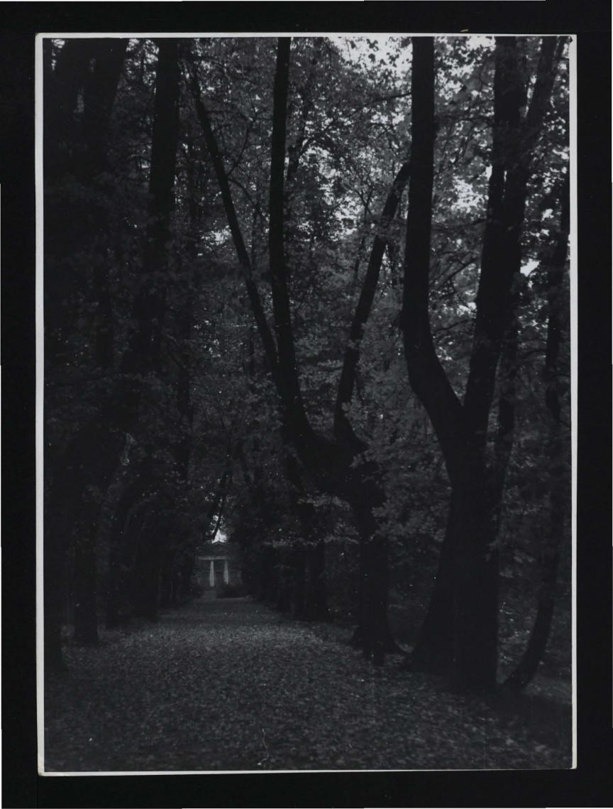 3 fotografie czarno-białe przedstawiające aleję parkową widącą do budowli stylizowanej na świątynię grecką – tzw. Domku Żółtego/Aleksandra, skan 1