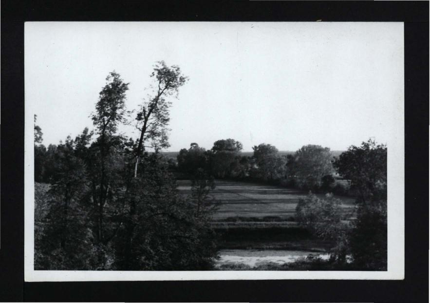 8 fotografii czarno-białych przedstawiających fragmenty miejscowego parku, skan 3