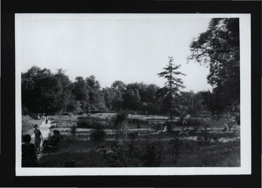 8 fotografii czarno-białych przedstawiających fragmenty miejscowego parku, skan 4
