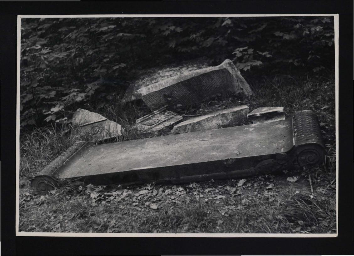 fotografia czarno-biała przedstawiająca potrzaskane fragmenty marmurowych zdobień parkowych – ze zbiorów Pracowni Rzeźby Pracowni Konserwacji Zabytków z 1 czerwca 1953 r., skan 1