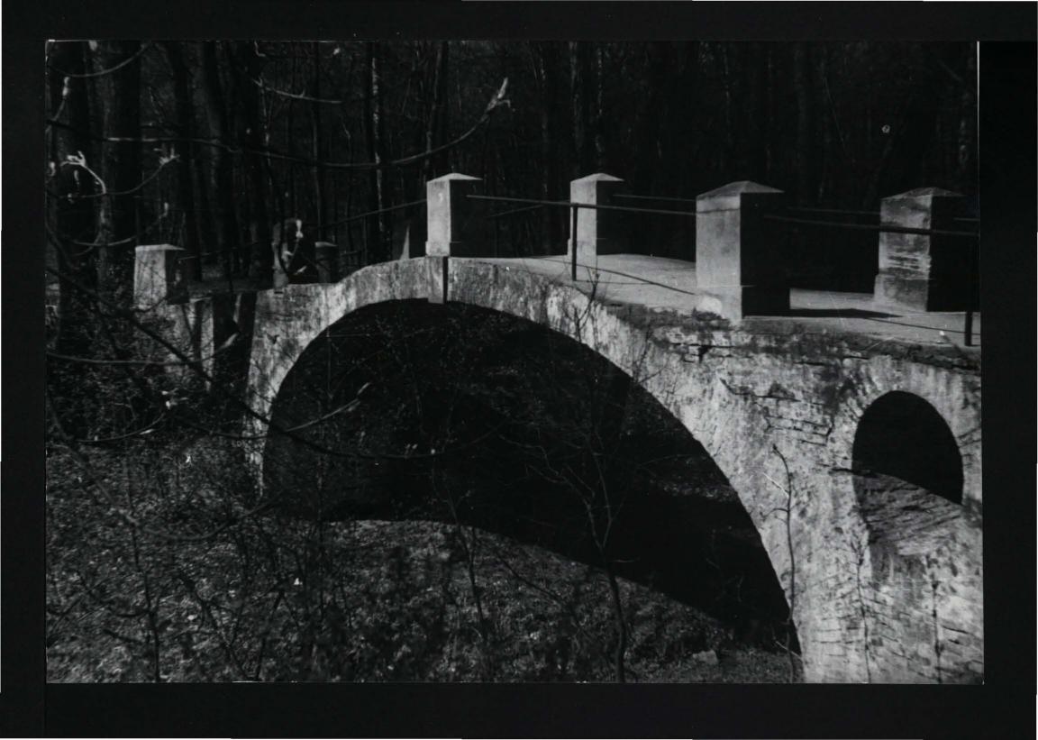 fotografia czarno-biała przedstawiająca mostek w miejscowym parku wiodący do pałacu Marynki  , skan 1