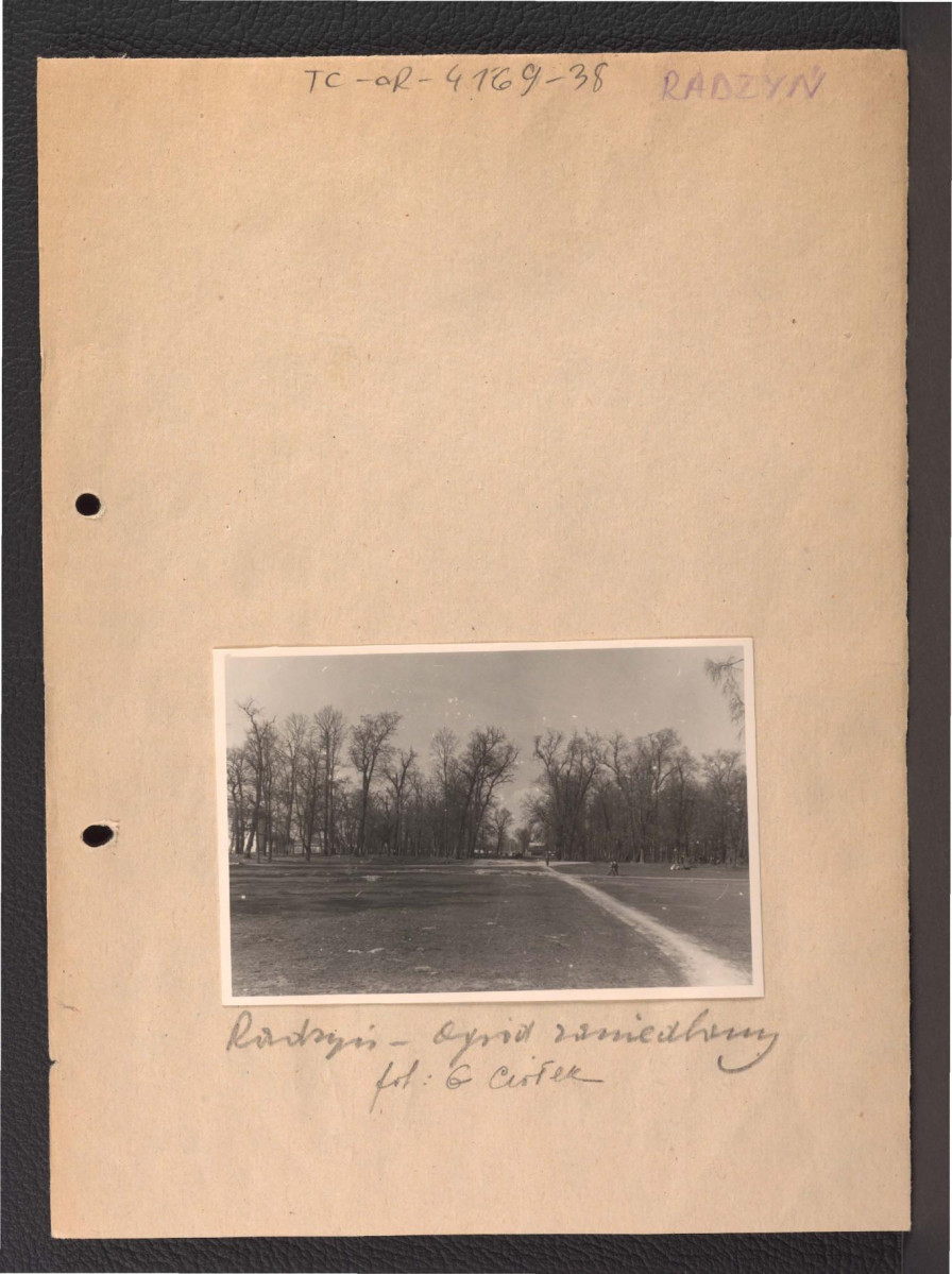fotografia czarno-biała przedstawiająca fragment miejscowego ogrodu, skan 1