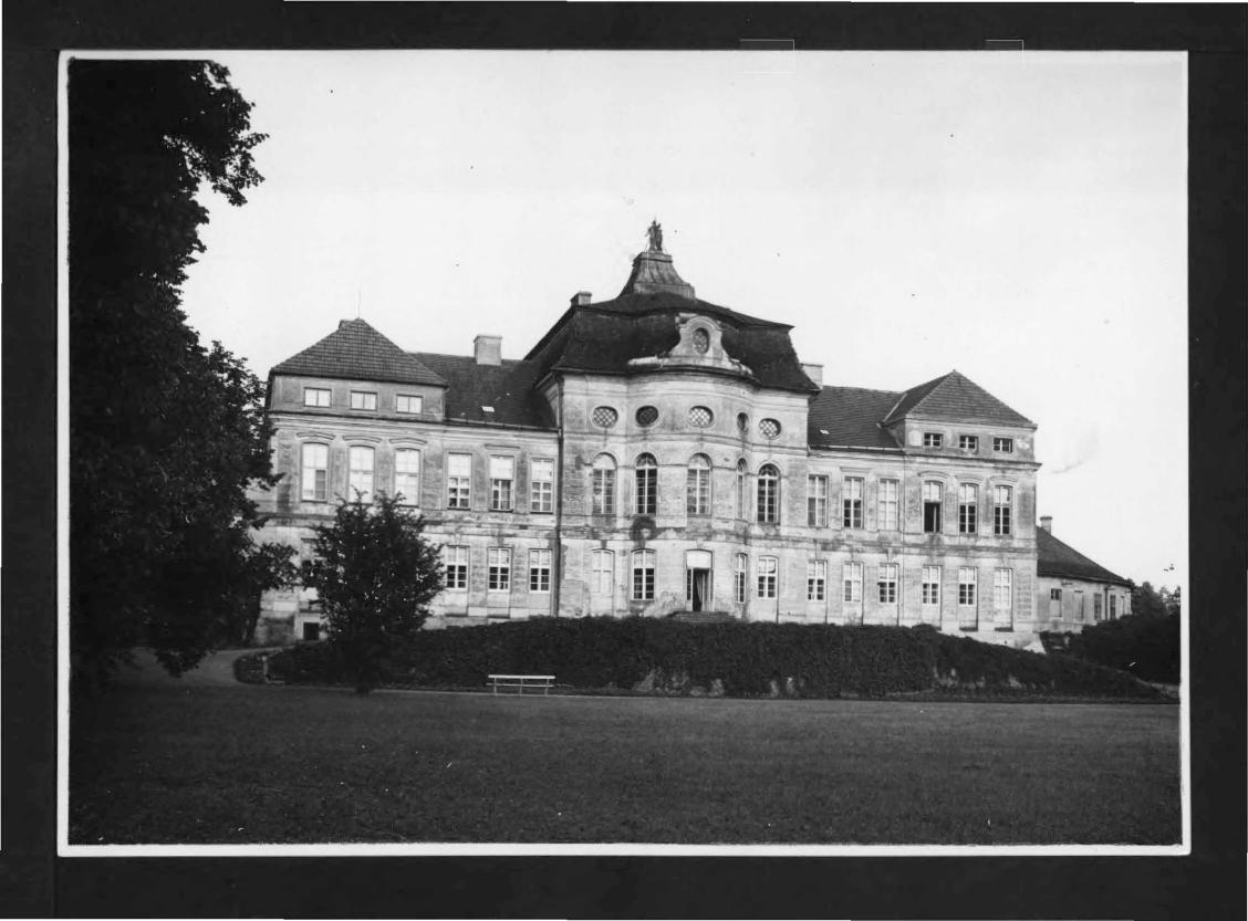 fotografia czarno-biała przedstawiająca elewacje ogrodową miejscowego pałacu ze zbiorów Pracowni Fotograficznej Instytutu Sztuki, skan 1