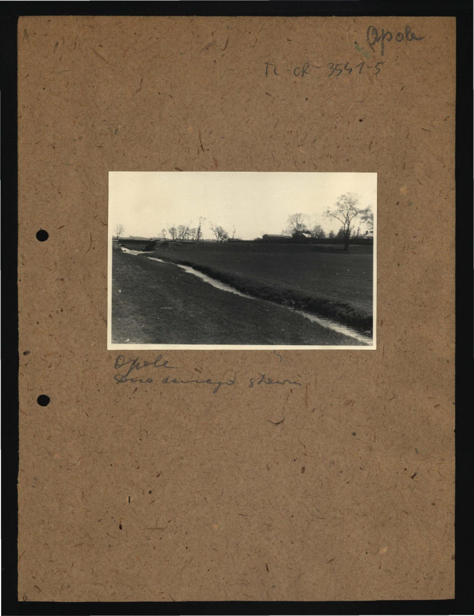 fotografia czarno-biała przedstawiająca pozostałości dawnego stawu                   , skan 1