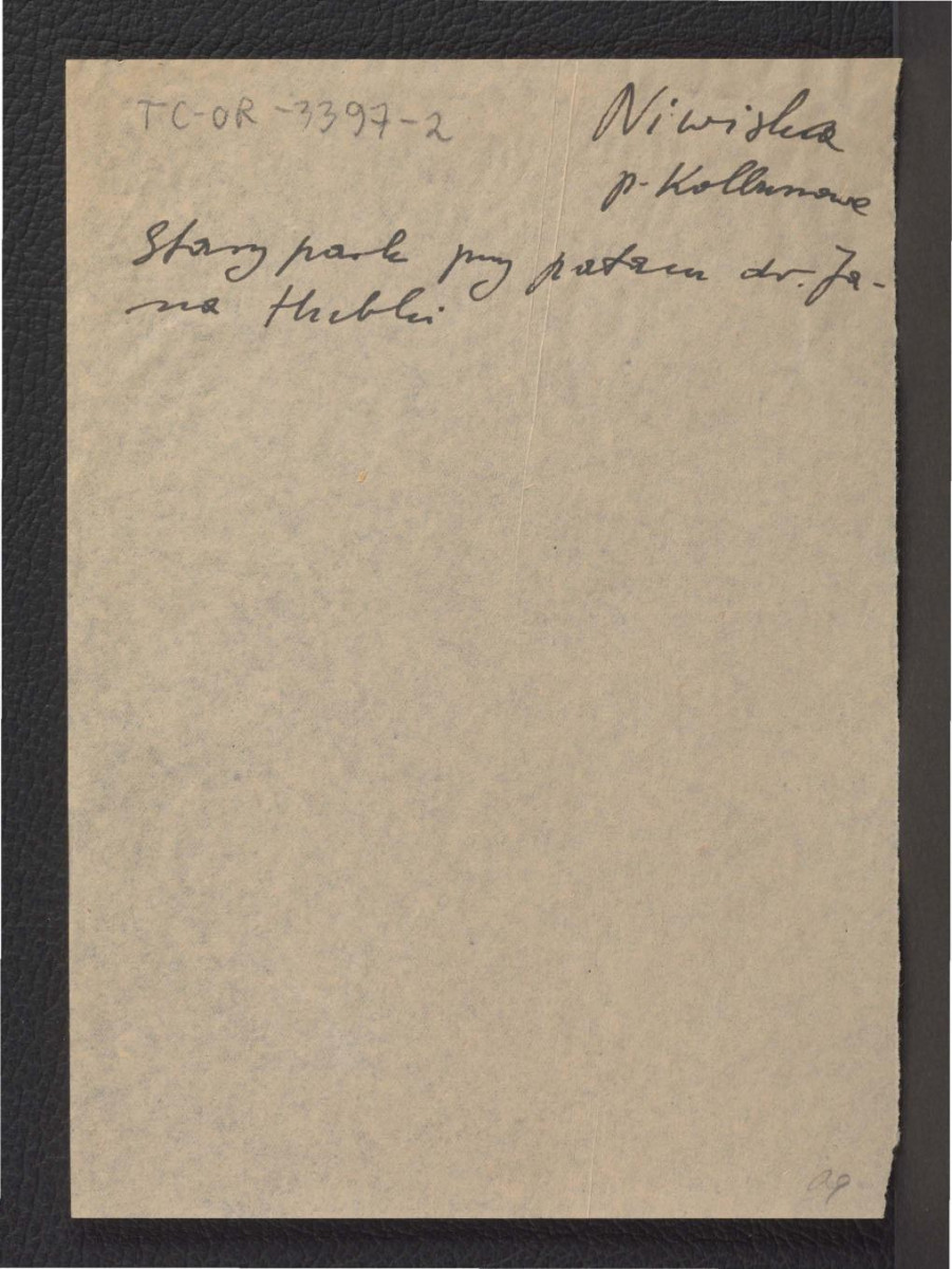 notatka wzmiankująca park przy pałacu należącym do Jana Hubki, skan 1