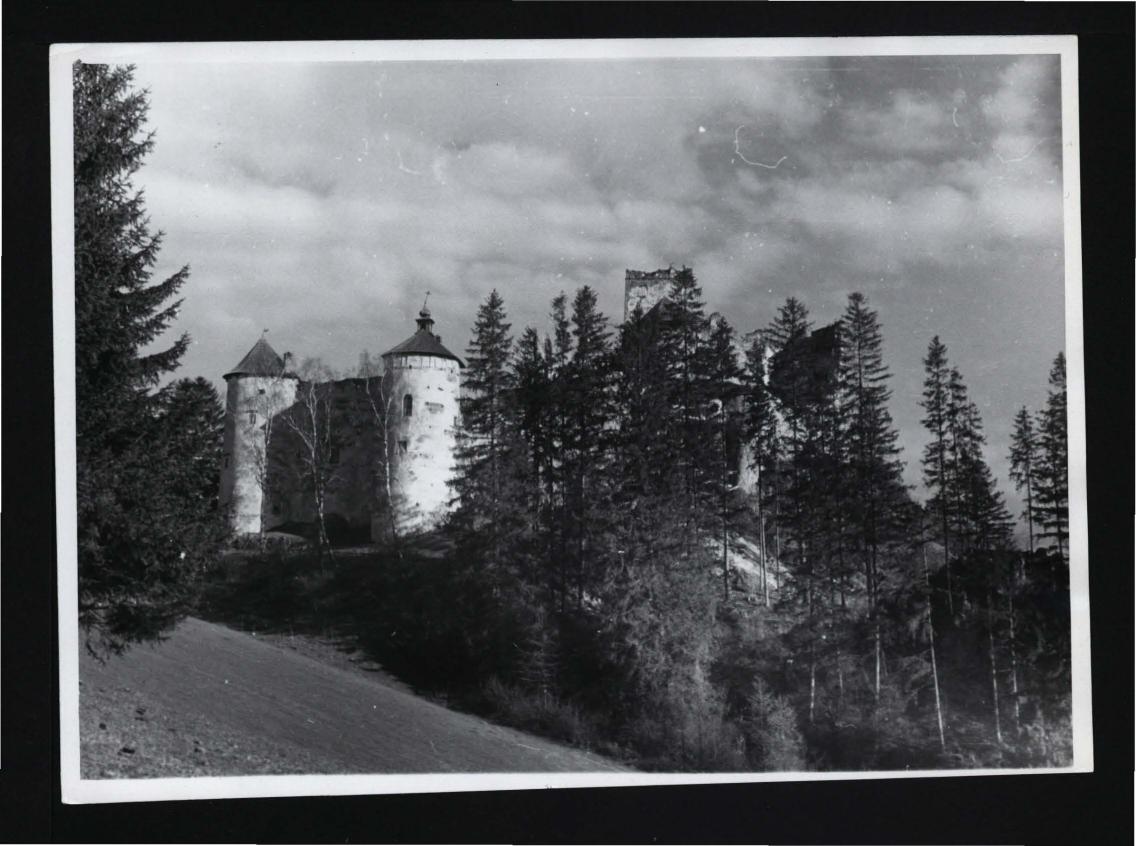 fotografia czarno-biała przedstawiająca zamek od południowego zachodu, skan 1