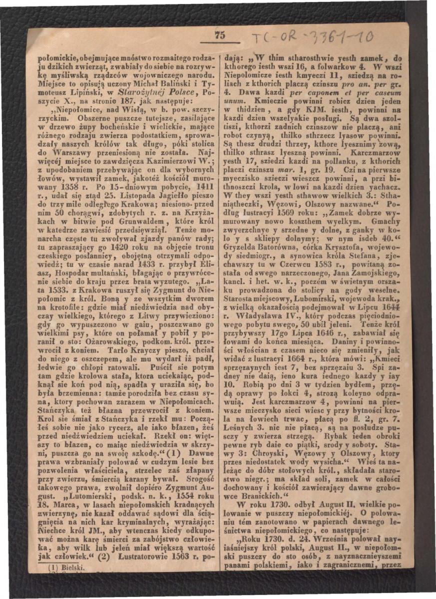 fragment karty pochodzącej z publikacji tematycznej (być może z przełomu 1844 i 1845 r.) zawierający tekst dotyczący wspomnianej miejscowości oraz reprodukcje rysunków L. Putiatyckiego  , skan 1