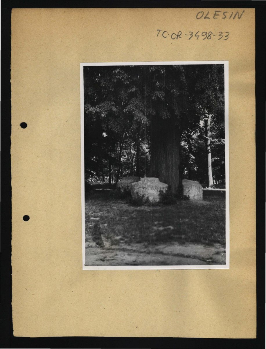 2 fotografie czarno-białe przedstawiające ciosów kamiennych w miejscowym parku               , skan 2