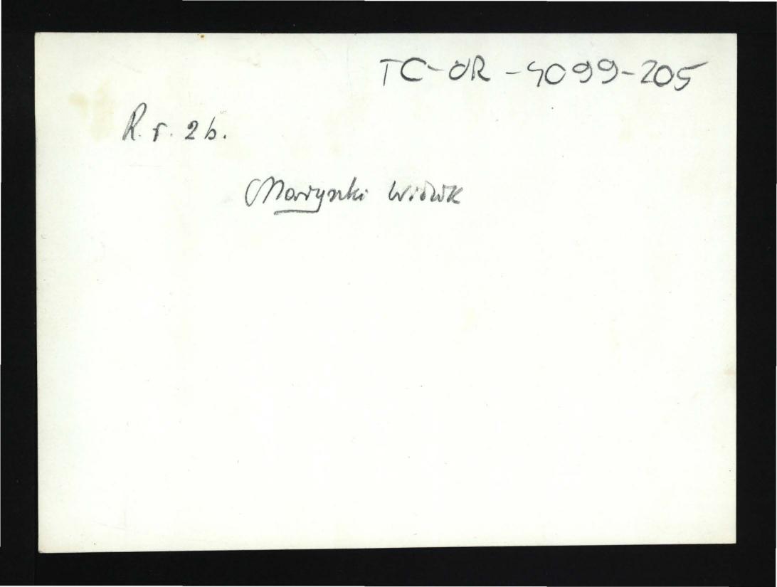 2 fotografie czarno-białe reprodukcji ryciny autorstwa P. Norblina przedstawiającej widok ogólny miejscowego parku , skan 3