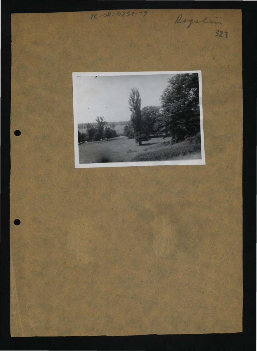6 fotografii czarno-białych przedstawiających fragmenty miejscowego ogrodu, skan 8