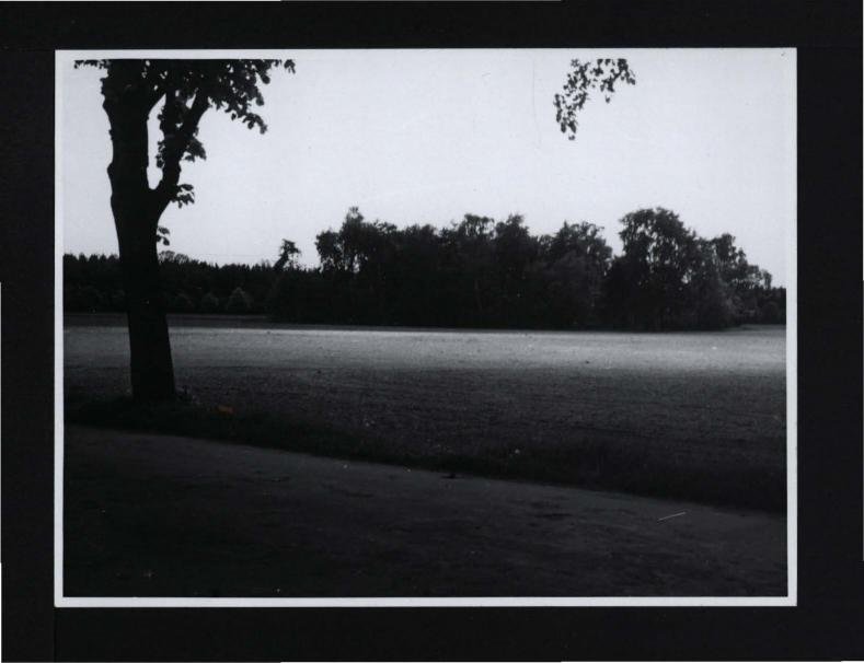 4 fotografia czarno-biała przedstawiająca miejscowy park, skan 2