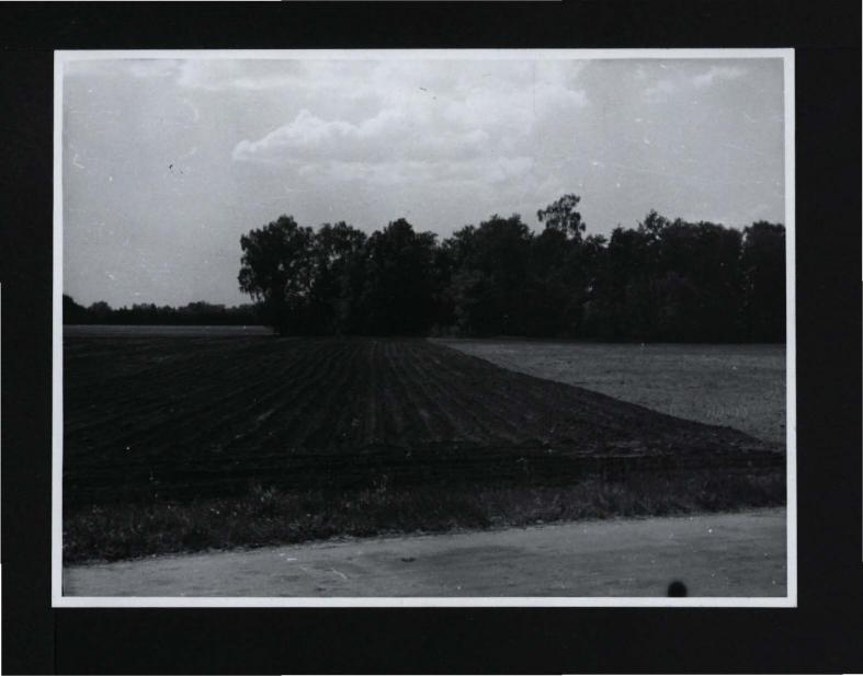 4 fotografia czarno-biała przedstawiająca miejscowy park, skan 3