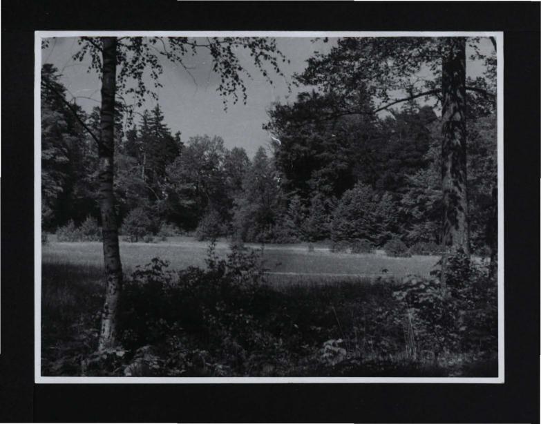 4 fotografia czarno-biała przedstawiająca miejscowy park, skan 4