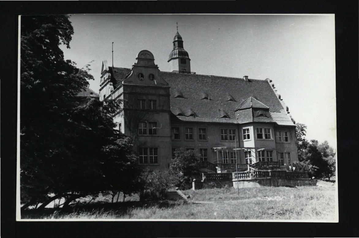 fotografia czarno-biała przedstawiająca widok z tarasu zamkowego na aleję parkową, skan 1