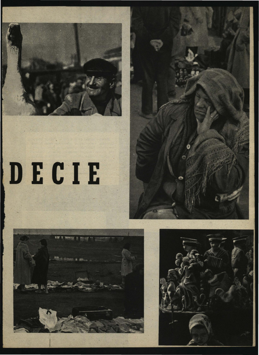 2 karty z czasopisma „Ziemia” nr 11 (1957) zawierające tekst autorstwa T. Chrzanowskiego pt. Renesansowe pałace śląskie dotyczący m.in. pałacu w tej miejscowości; brak obwoluty                                                                   , skan 1